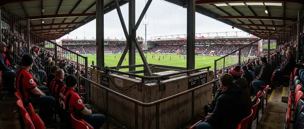 Peor lugar para sentarse en el Vitality Stadium background image